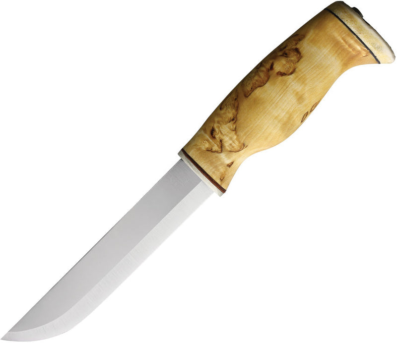 Arctic Legend Bear Fixed Blade Curly Birch