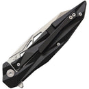 Artisan Cygnus Framelock Black