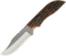 Anza Fixed Blade Amber Bone