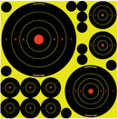 Birchwood Casey Shoot-NC Variety Pack Targets
