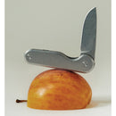 Craighill Rook Framelock Stainless