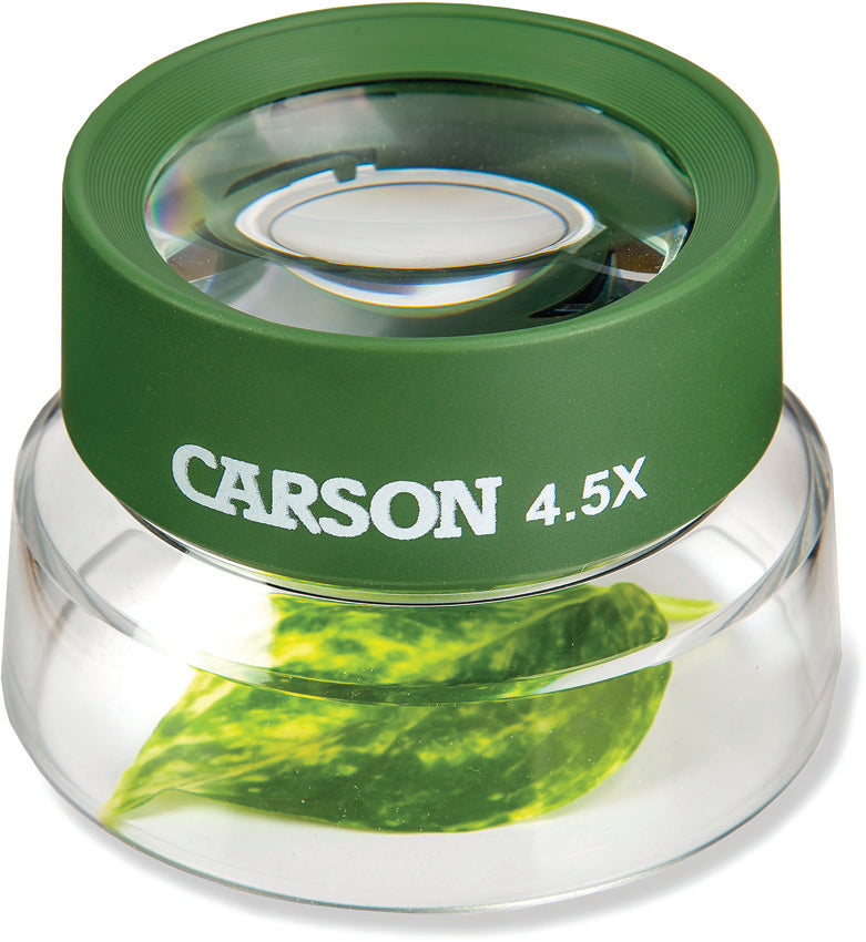 Carson Optics Bug Loupe Stand Magnifier