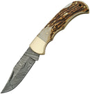 Damascus Lockback Stag