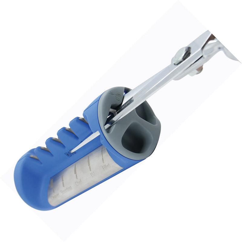 DMT Edgesharp XpertEdge 6 Stage Sh