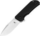 Kizer Cutlery Nice Guy Linerlock Black