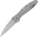 Kershaw Leek Framelock A/O