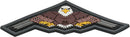 Maxpedition B2 Bomber Eagle Patch Color