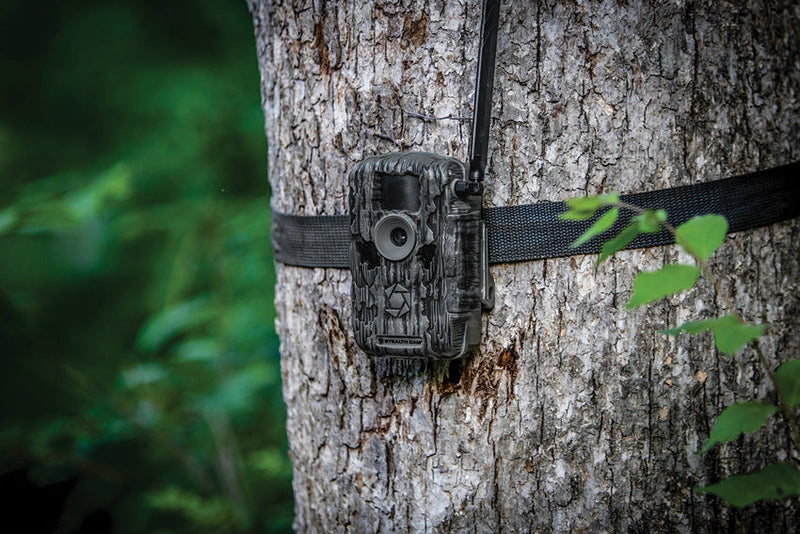 Stealth Cam Fusion Max Cellular Trail Cam