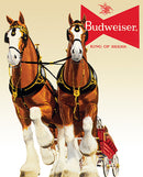 Tin Signs Budweiser Clydesdale Team