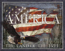 Tin Signs America Land of Free