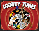 Tin Signs Looney Tunes Family