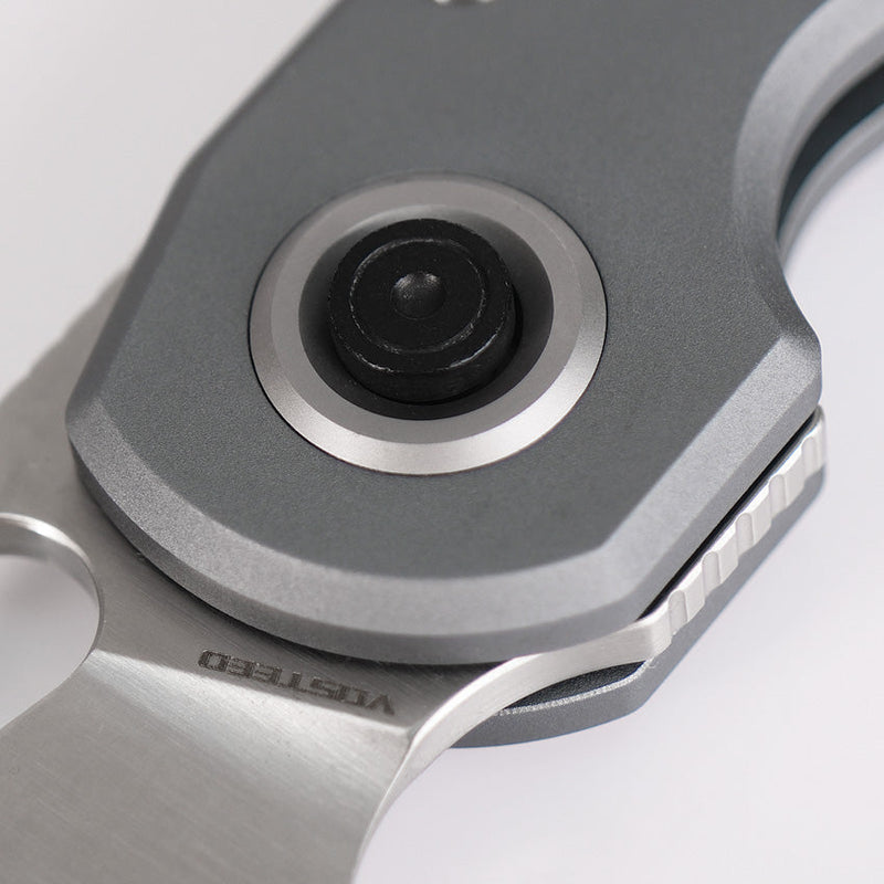 Vosteed Ankylo Vanchor Lock Gray