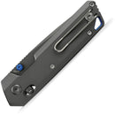 Vosteed Parallel Crossbar Lock Gray