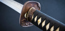 Dragon King Pine Crane Katana