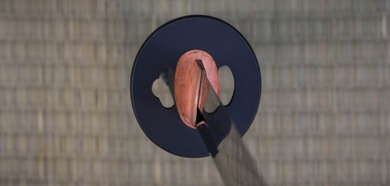 Dragon King Modern Wakizashi Bohi