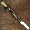 Wood Jewel Sieniveitsi Zebra